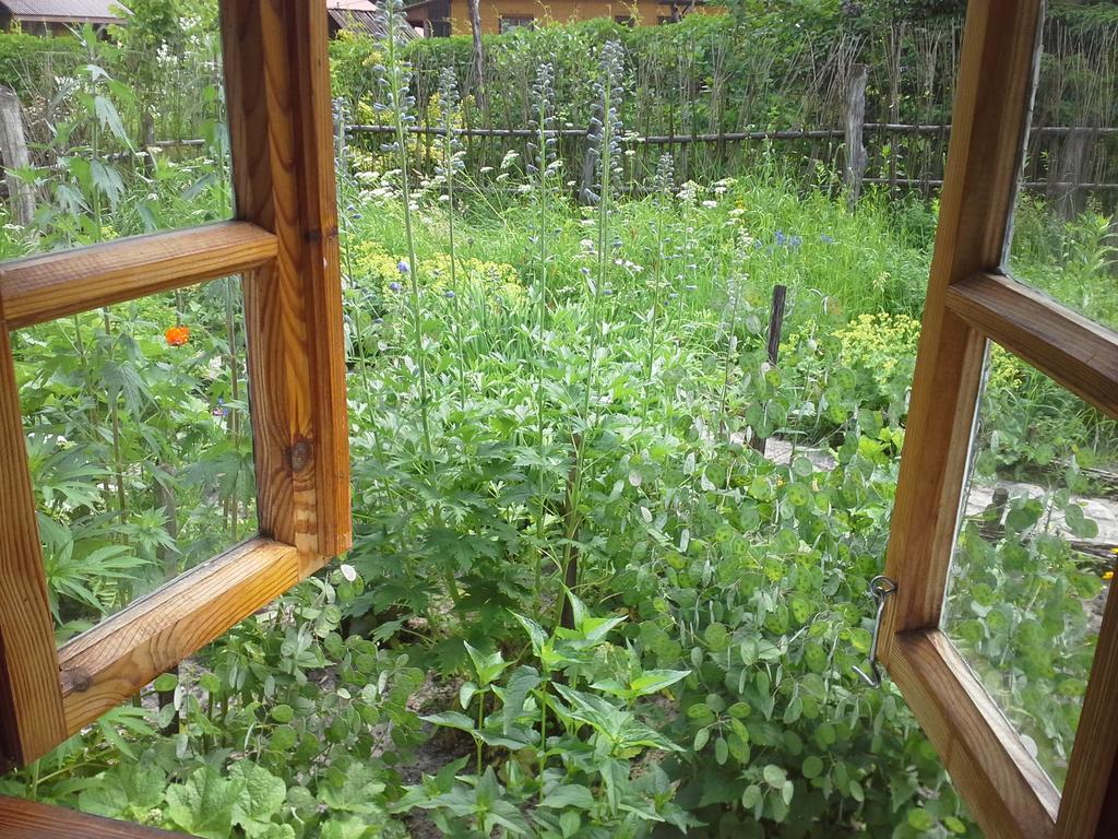 Dzikie Roztocze - Stara Chata Krasnobród Buitenkant foto
